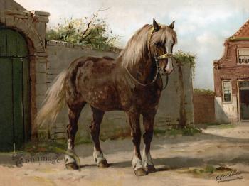 Zeeland Horse by Eerelman